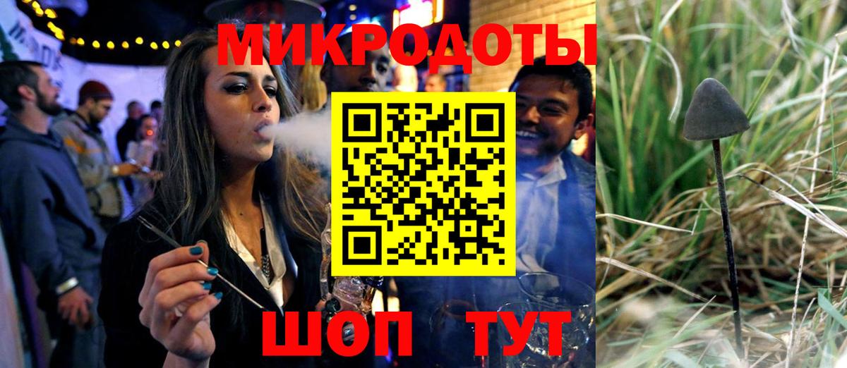 Галлюциногенные грибы Psilocybe  Псилоцибиновые грибы Psilocybe  где купить наркотик  Вход с VPN  Чистополь 